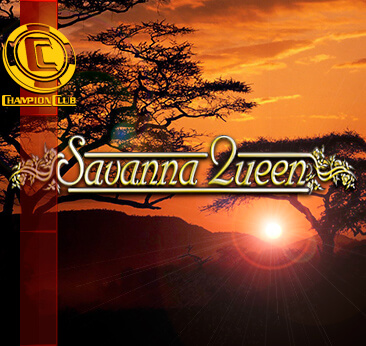 Savanna Queen