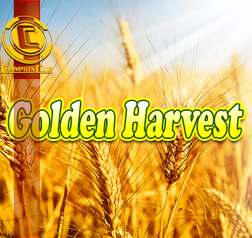 Golden Harvest