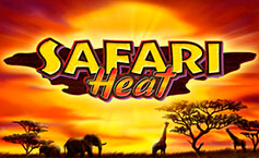 Safari Heat