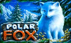 Polar Fox