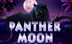 Panther Moon