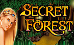 Secret Forest