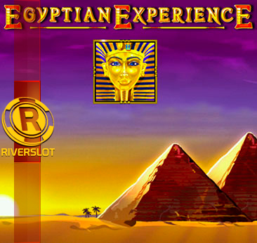 Egyptian Experience